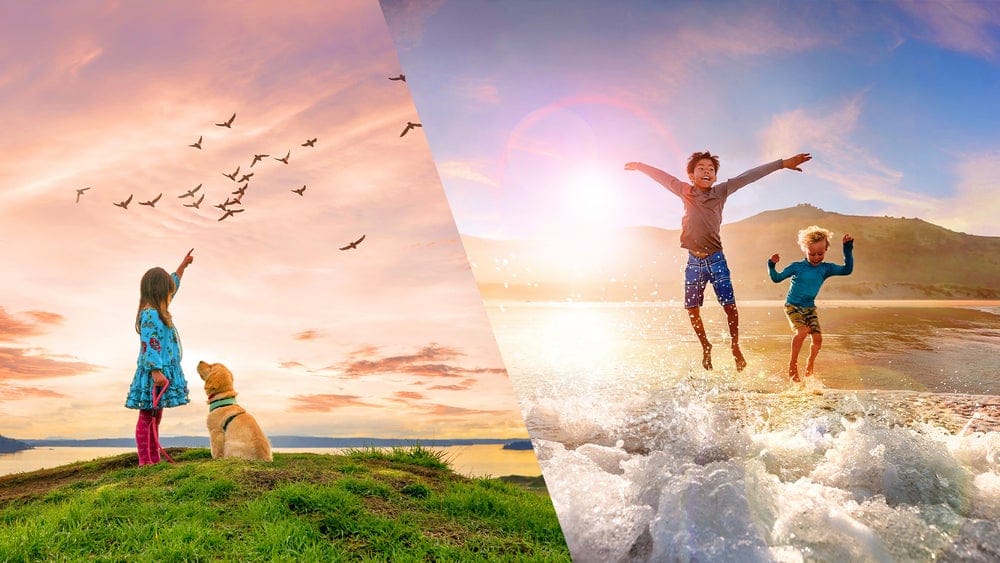 adobe photoshop elements and premiere elements 2021 adobe photoshop elements and premiere elements 2021